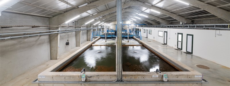introductie foto Totaalrenovatie waterproductiecentra Zillebeke en Dikkebus